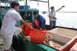 Nhớ con tôm tích... xứ hòn
