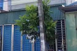 Thái Bình: Chồng đốt vợ rồi đi tự thú, nghi do mâu thuẫn gia đình