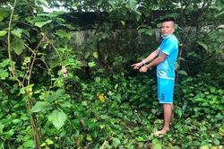 Tên trộm 350 cây vàng ở Sơn Tây bị bại lộ như thế nào?