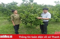 Xã Thọ Lập đồng thuận xây dựng nông thôn mới nâng cao