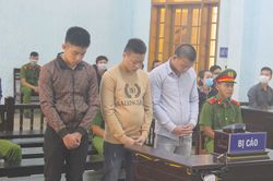 Một phút bốc đồng, cả đời ân hận