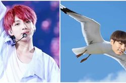 Jungkook BTS tiết lộ những nghệ danh muốn sử dụng nhất khi 'debut'