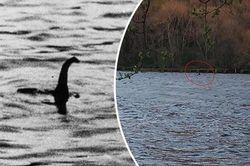 Quái vật hồ Loch Ness đã chết, liệu tìm được xương dưới đáy hồ?