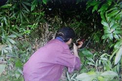 Thầy giáo bắn chết đồng nghiệp cùng đi săn vì nhầm tưởng là thú rừng