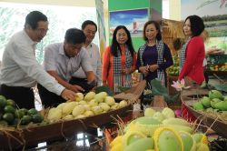 Gỡ khó khâu kiểm dịch trái cây xuất khẩu sang Mỹ