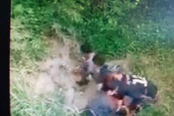 Nhóm thanh niên lao xuống kênh bắt con trăn nặng gần 50 kg