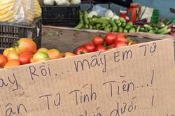 Người đàn ông bán rau lạ lùng và 'khùng' nhất Việt Nam