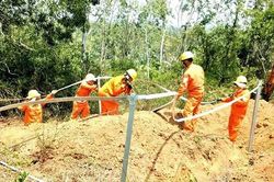 Hoàn thành lắp đặt 10 bộ tiếp địa đường dây 110kV trước mùa mưa bão
