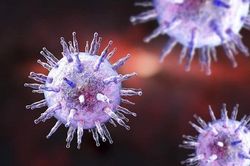 Làm gì để hạn chế sự lây nhiễm của vi khuẩn, virus?