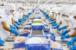 VHC - Những tín hiệu bất ổn