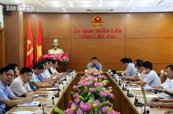 Đẩy nhanh tiến độ xây dựng Chính phủ điện tử