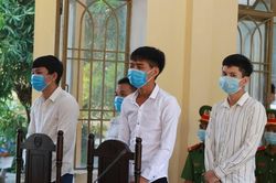 Trộm 37 cây vàng, 4 thanh niên chia nhau 31 năm tù