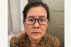 Khởi tố, bắt tạm giam nữ giáo viên nghỉ hưu làm giả con dấu, tài liệu của cơ quan, tổ chức