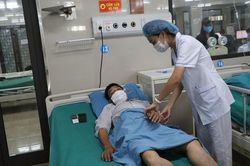 Người đàn ông sốc phản vệ, nguy kịch do bị kiến xoan đốt
