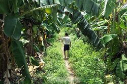 Tiếng kêu khóc xé lòng của 2 bé gái bị chặn đường, hiếp dâm tại Gia Lâm