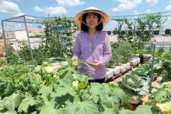 Nữ giám đốc Cần Thơ trồng vườn rau xanh mướt trên sân thượng