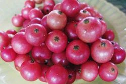 Đây chính là 'thần dược' ngừa ung thư giúp bạn cả đời không mắc bệnh tim mạch mà ai cũng đang ném bỏ