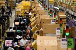 Amazon đối mặt với thách thức pháp lý mới tại Ấn Độ