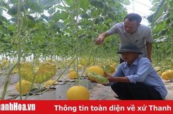 HTX Dịch vụ nông nghiệp Thiệu Hưng: Phát huy vai trò 'bà đỡ' của nông dân