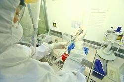 'Việt Nam chưa có ca nhiễm COVID-19 thứ phát sau tái dương tính'