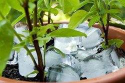 6 tác dụng lợi hại của đá lạnh trong việc chăm sóc nhà cửa