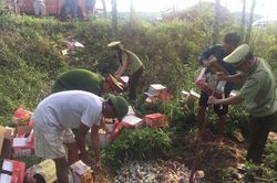 Tiêu hủy 6.200 cái bánh trung thu không rõ nguồn gốc xuất xứ