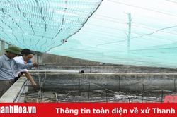 Nuôi trồng thủy sản ở huyện Hoằng Hóa – quy hoạch để phát triển bền vững