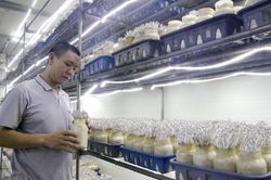 Công bố chính thức danh sách 63 'Nông dân Việt Nam xuất sắc' năm 2020