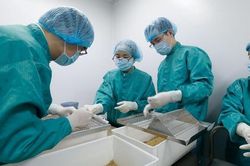 Thời sự 24H ngày 29/8: Việt Nam có thể tiêm thử nghiệm vắc xin COVID-19 trên người vào tháng 12