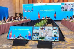 ASEAN - Ấn Độ chung tay đẩy lùi đại dịch, ổn định kinh tế vĩ mô