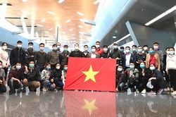 Qatar Airways đưa 140 công dân Việt Nam từ Trung Đông và châu Phi về nước an toàn