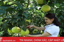 Viettel Post quảng bá, đưa đặc sản Hà Tĩnh đến tận tay người tiêu dùng