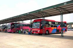 Hoạt động trở lại vận tải hành khách liên tỉnh Gia Lai-TP. Hải Dương