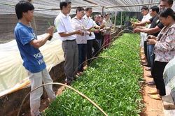 Lạng Sơn: Giảm nghèo gắn với thực tế tại địa phương