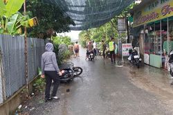 Anh em sinh đôi thương vong sau va chạm giao thông