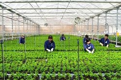Đã đến lúc xem lại nền nông nghiệp vô cơ