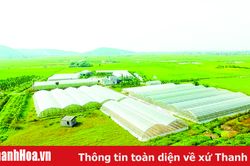 'Mắt xích' quan trọng trong chuỗi giá trị và xây dựng nông thôn mới