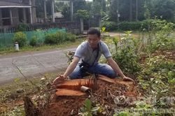 Phạt Công ty Sông Hiền hơn 310 triệu đồng