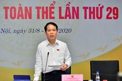 Ủy ban Pháp luật cho ý kiến về mức phạt tiền tối đa trong 3 lĩnh vực nông nghiệp