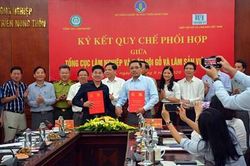 Phát triển ngành kinh tế lâm nghiệp bền vững