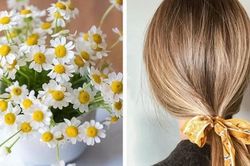 Nhuộm tóc vàng, lên màu tự nhiên bằng hoa cúc và khoai tây