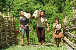 Để không còn những lời ru buồn ở rẻo cao