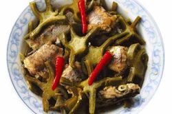 Những tác dụng kì diệu của xương rồng có thể chữa dứt điểm gai cột sống, phòng chống ung thư hiệu quả