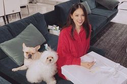 Linh Rin khoe được anh yêu tặng quà to bự, dân tình lại chăm chăm vào phòng khách sang chảnh