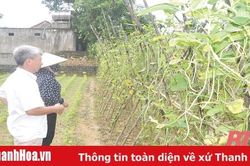 Nâng cao chất lượng sinh hoạt của chi bộ thôn, bản miền núi