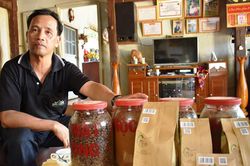 Cây trồng chủ lực - những kết quả chuyển đổi