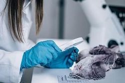 Đột phá pháp y về sợi vải giúp phá án chính xác