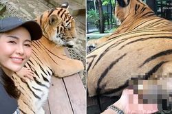 'Sàm sỡ' hổ đực để selfie, khi bị chỉ trích cô gái biện minh do 'yêu động vật'