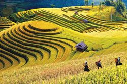 Lên Mù Cang Chải, ngắm đệ nhất ruộng bậc thang Việt Nam