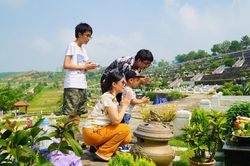 Con cháu dâng hương tưởng nhớ đấng sinh thành ngày Vu lan báo hiếu